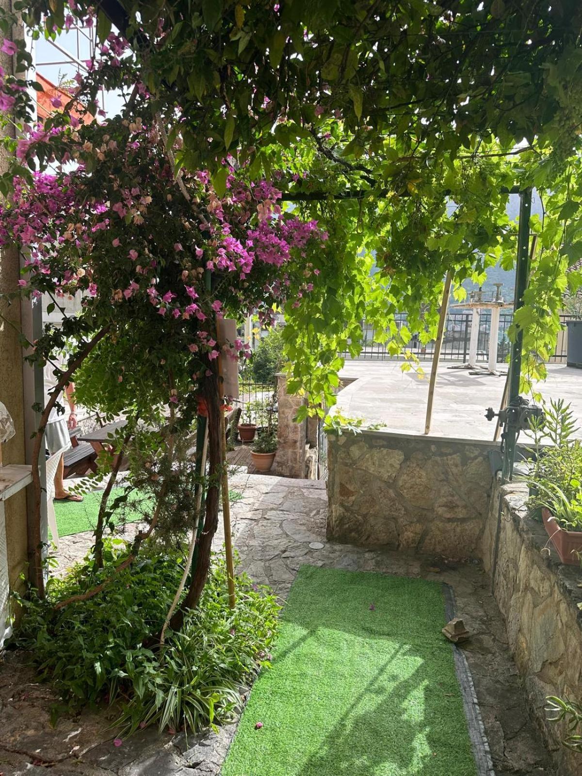 Themis Apart Hotel Котор Екстериор снимка